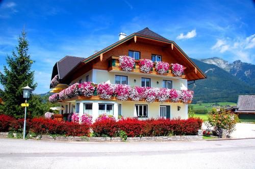 Outdoor Pictures 23