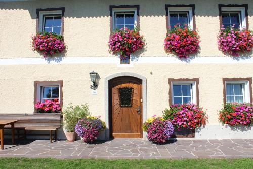 Outdoor Pictures 22