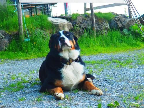 Outdoor Pictures 18
