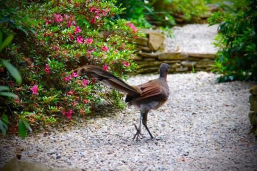 Outdoor Pictures 19