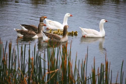 Outdoor Pictures 22