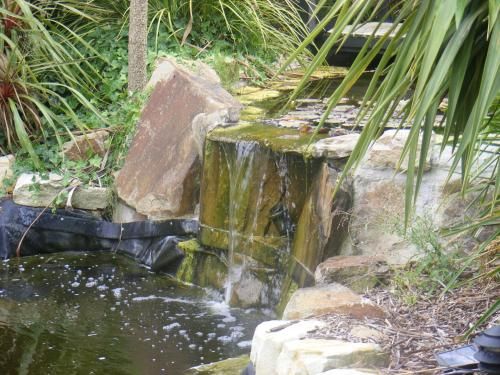 Outdoor Pictures 19