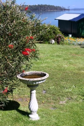 Outdoor Pictures 14