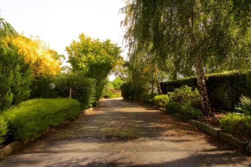 Outdoor Pictures 22
