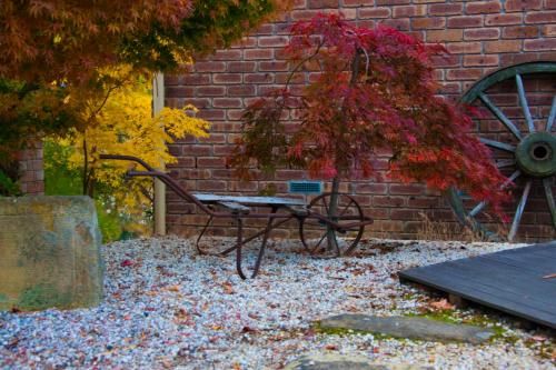 Outdoor Pictures 16