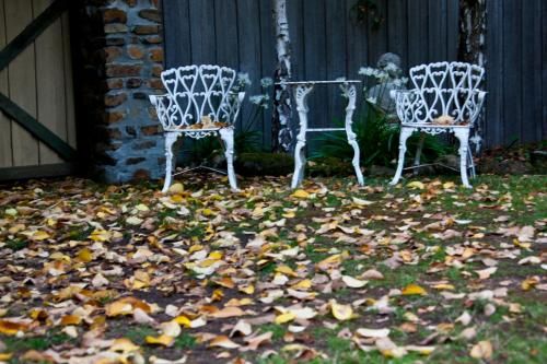 Outdoor Pictures 18