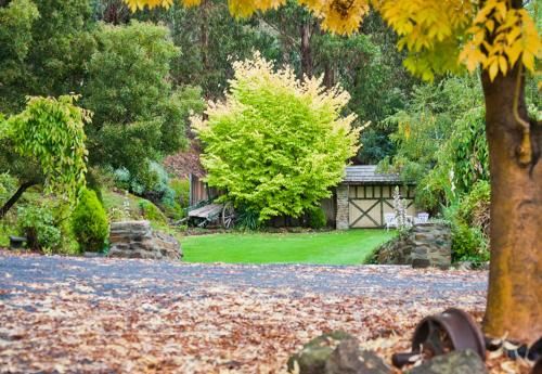 Outdoor Pictures 17