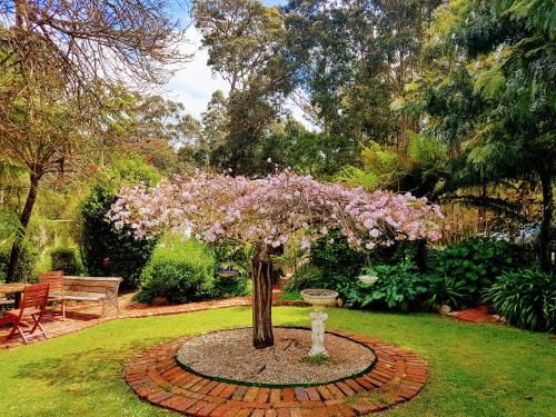 Outdoor Pictures 21