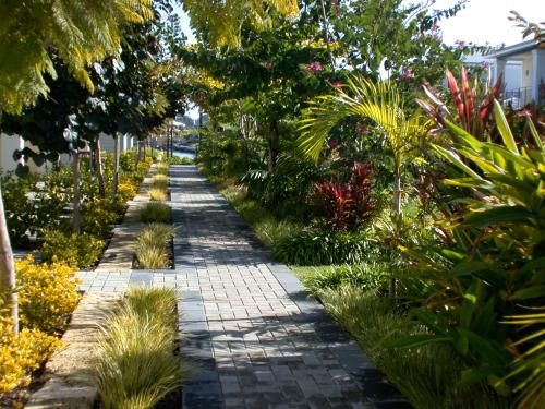 Outdoor Pictures 16