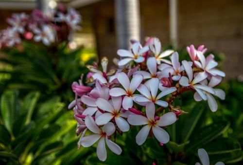 Outdoor Pictures 17
