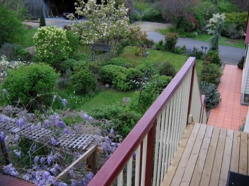 Outdoor Pictures 18