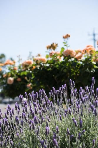 Outdoor Pictures 23