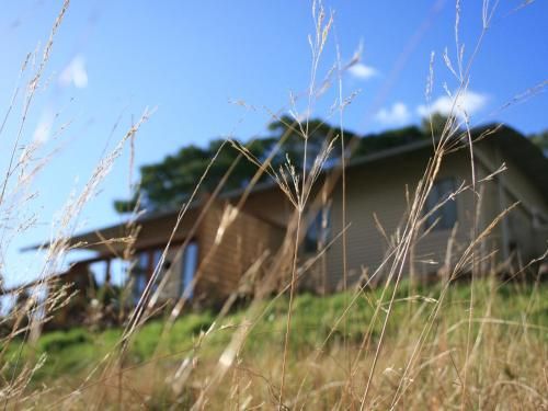 Outdoor Pictures 24