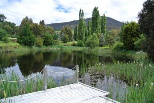 Outdoor Pictures 21