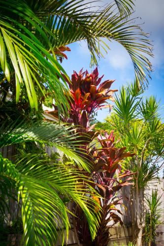 Outdoor Pictures 20