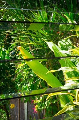 Outdoor Pictures 22