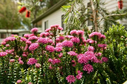 Outdoor Pictures 17