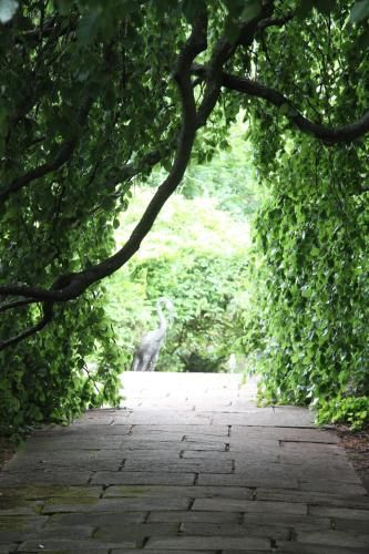 Outdoor Pictures 21