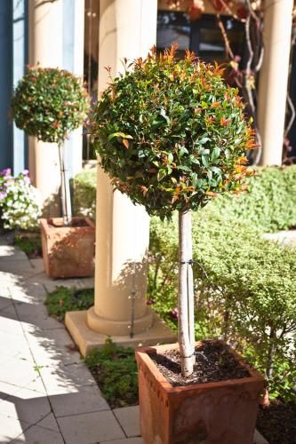 Outdoor Pictures 21