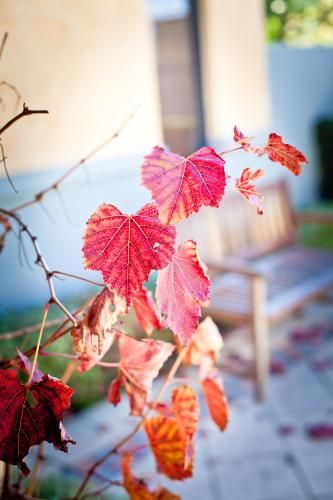 Outdoor Pictures 15