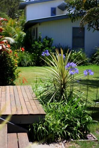 Outdoor Pictures 18