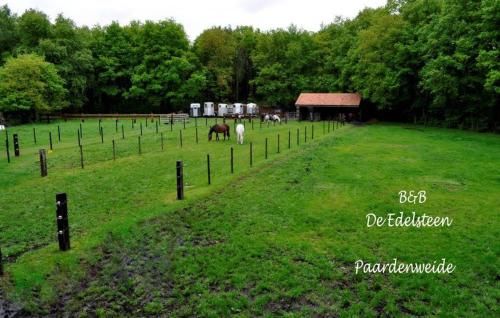 Outdoor Pictures 15