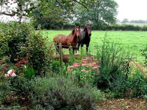 Outdoor Pictures 23