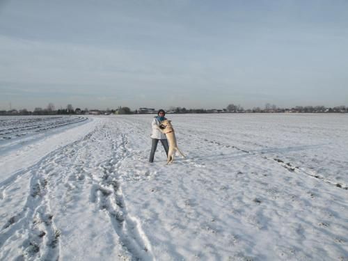 Outdoor Pictures 23