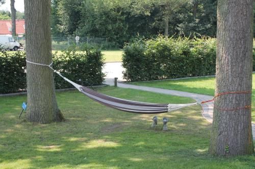 Outdoor Pictures 21