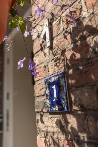 Outdoor Pictures 24