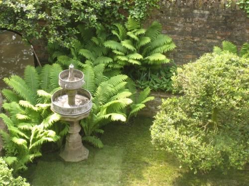 Outdoor Pictures 19