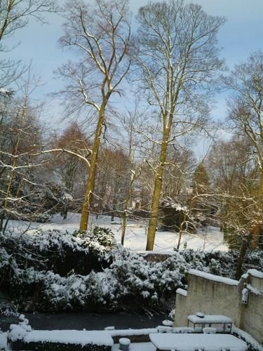 Outdoor Pictures 22