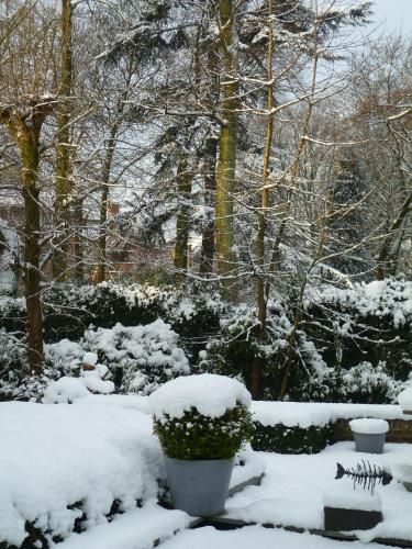 Outdoor Pictures 20