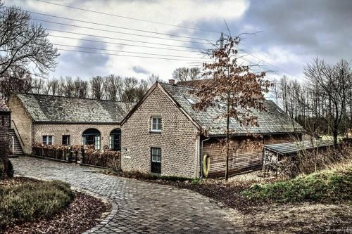 Outdoor Pictures 22