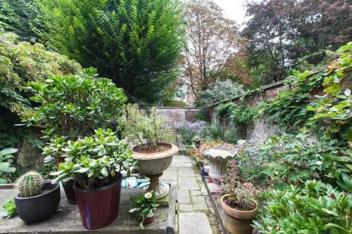 Outdoor Pictures 24
