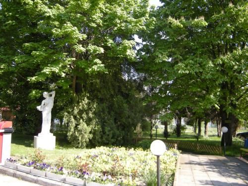 Outdoor Pictures 17