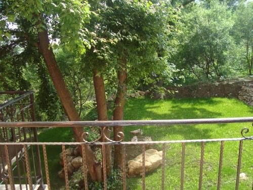 Outdoor Pictures 19