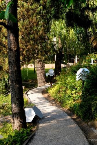 Outdoor Pictures 23