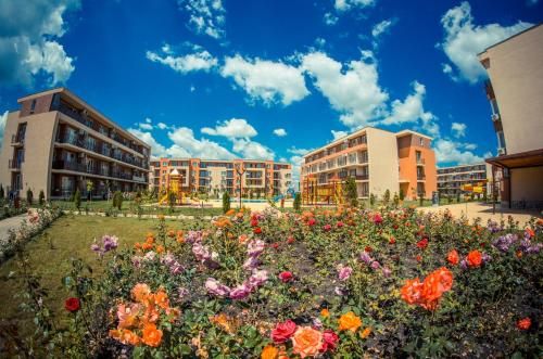 Outdoor Pictures 24
