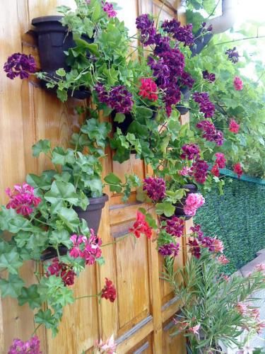 Outdoor Pictures 14