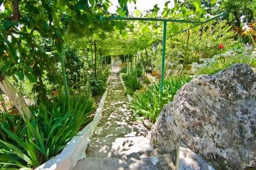 Outdoor Pictures 20