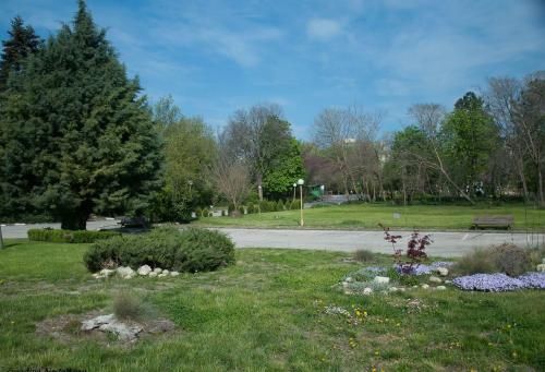 Outdoor Pictures 22