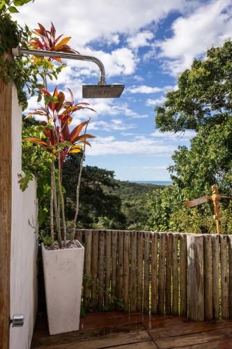 Outdoor Pictures 24