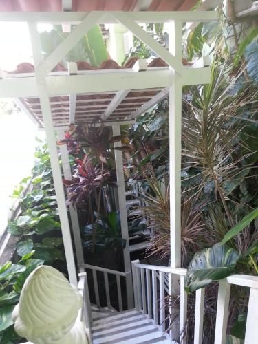 Hotel Pousada Papaya Verde