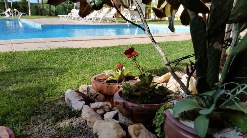Outdoor Pictures 15