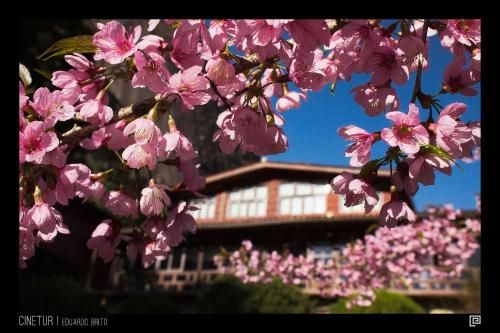 Outdoor Pictures 22