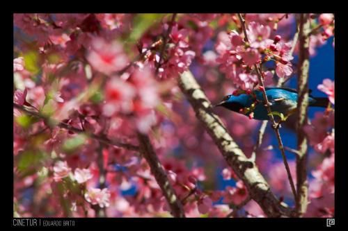 Outdoor Pictures 17