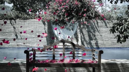 Outdoor Pictures 24