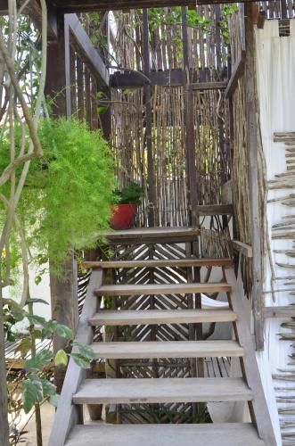 Outdoor Pictures 24