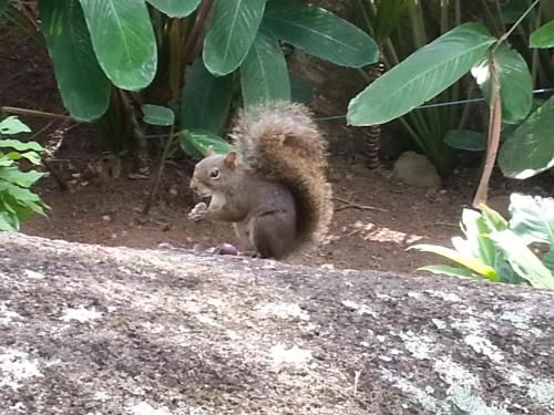Outdoor Pictures 20
